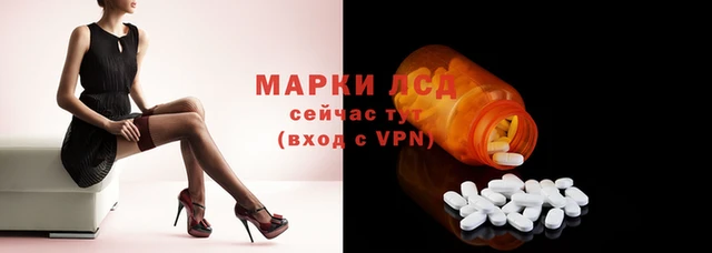 спайс Верея