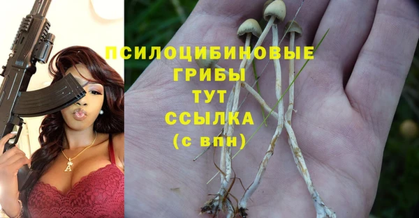 a pvp Верхний Тагил